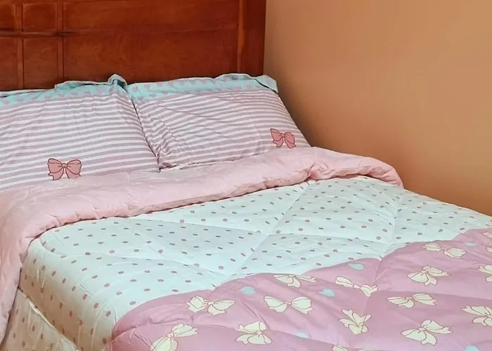 Con Bano Privado Centro Historico * Cusco